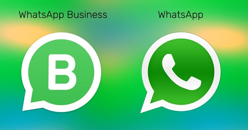 whatsapp business