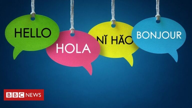 google tradutor estudantes